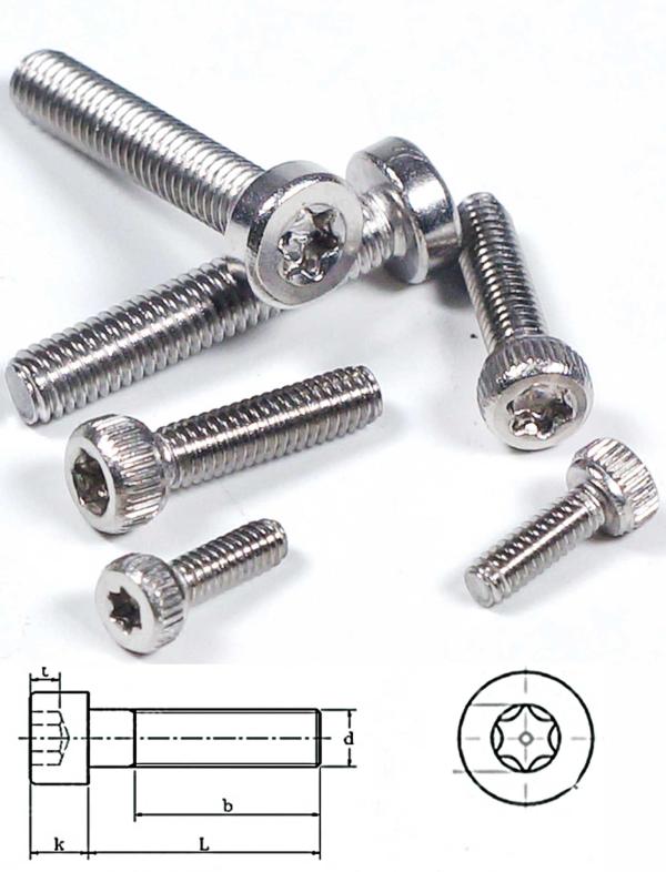 Cilinderkopschroeven_TX_RVS__M2x10_mm__30_stuks__roestvrij_staal__RVS_