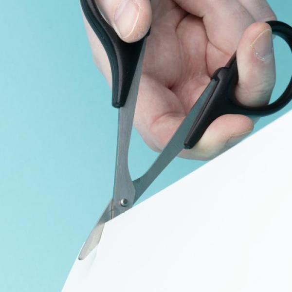 Gebogen_en_Rechte_Lexaanscharen__2_stuks__1