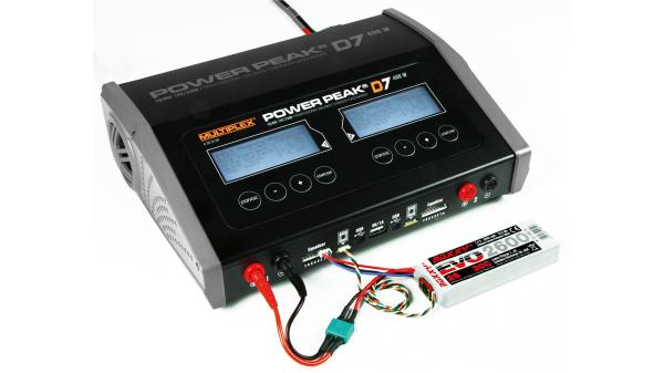 Lader_Power_Peak_D7_EQ_BID_12_V_230_V_2