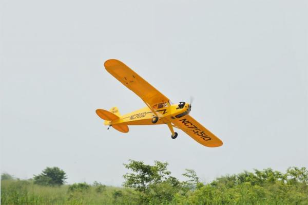 Piper_J3_Cub___1950_mm_2