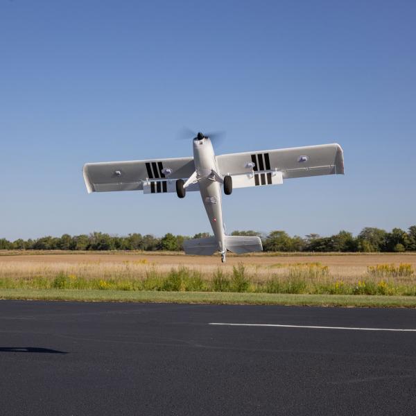 Timber_1_5_m_10e_Verjaardag_Special_Edition_PNP_18