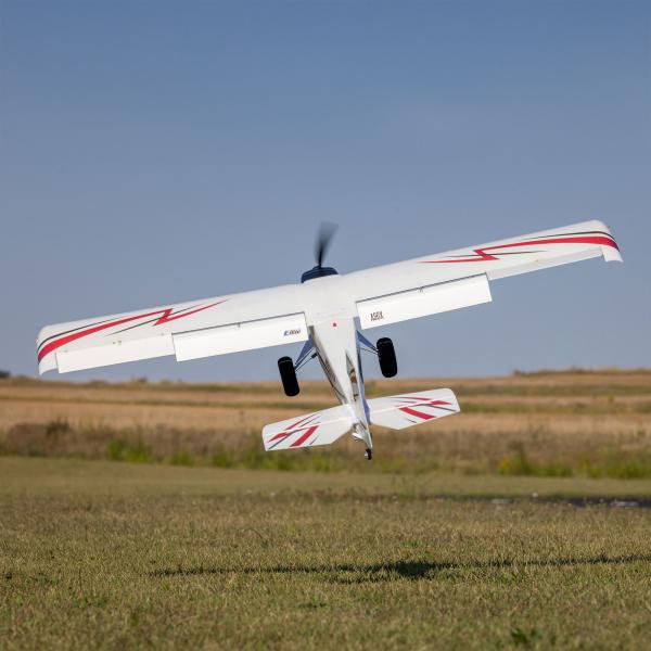 Timber_1_5_m_10e_Verjaardag_Special_Edition_PNP_19