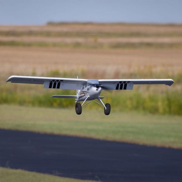 Timber_1_5_m_10e_Verjaardag_Special_Edition_PNP_20