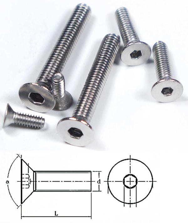 Verzonken_inbusboutjes_RVS__M2x10_mm__30_stuks