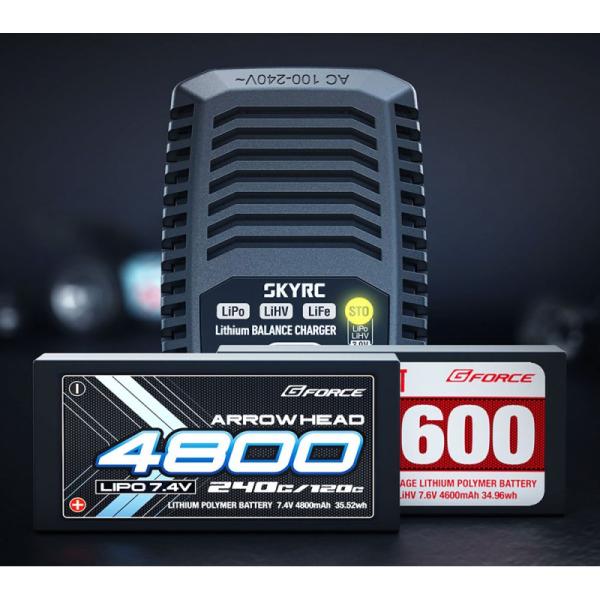 e3s_AC_Lader__LiPo_2_3S___20_W__7