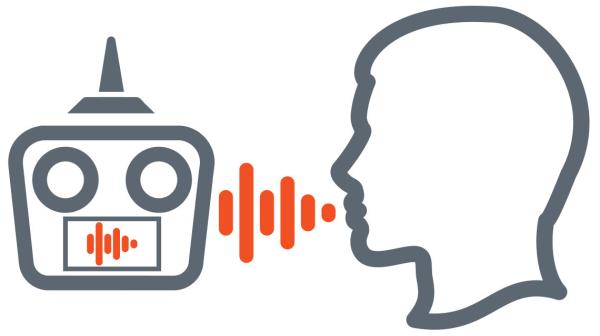 iX20_20_Kanaal_DSMX_Special_Edition_Zender__Internationaal_21