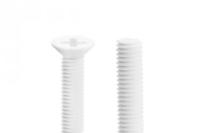 Nylon_Verzonken_Kruiskop_Bout_M4x15_mm__10_stuks__1